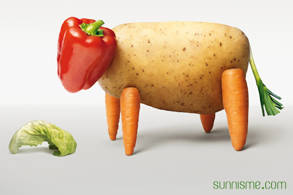 rencontre pour végétariens