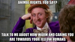 droit des animaux