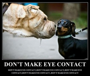 dont-make-eye-contact
