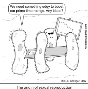 Origin of sex