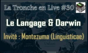 Live#30 Langage (Linguisticae)